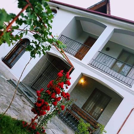 Villa "Zepuri" Dushet'i Exterior photo