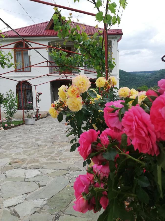Villa "Zepuri" Dushet'i Exterior photo