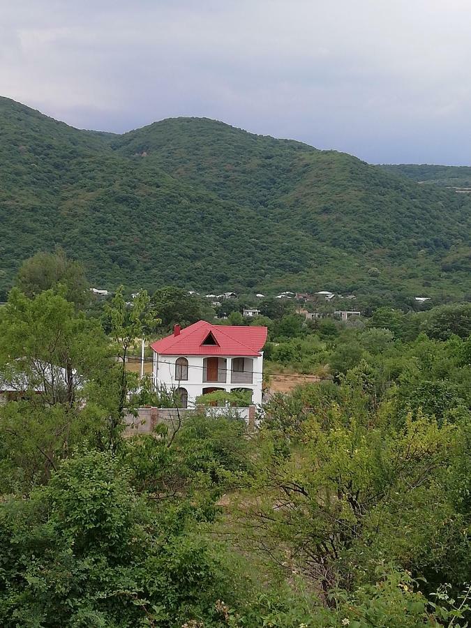 Villa "Zepuri" Dushet'i Exterior photo